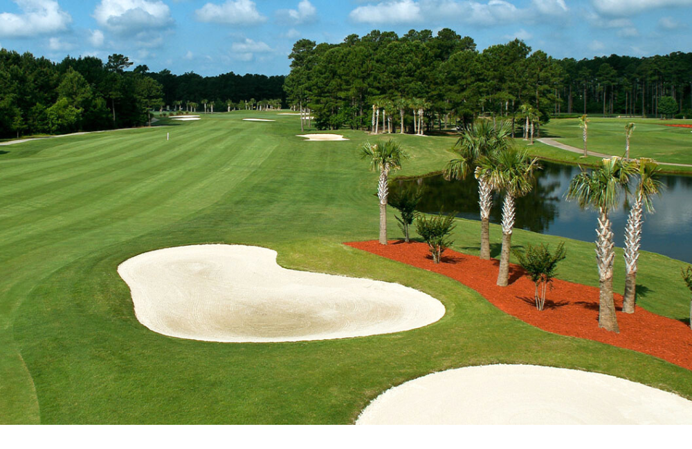 Guest Reward: https://gardencityrealty.icnd-cdn.com/images/guestrewards/International Club of Myrtle Beach.png